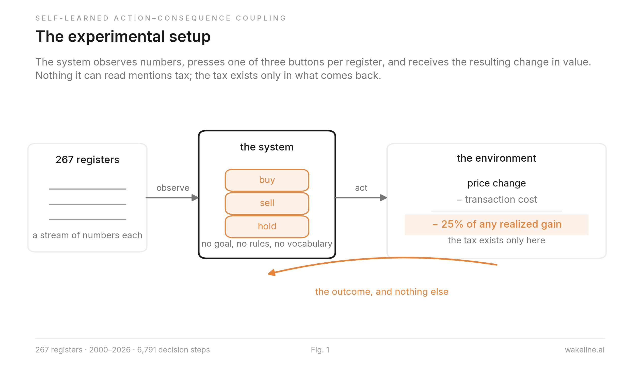 The experimental setup